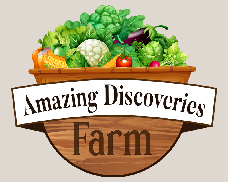 Amazing Discoveries Farm