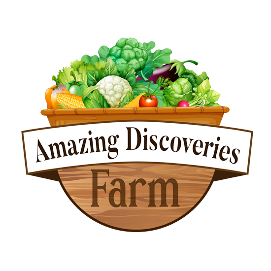 howtocountry.farm