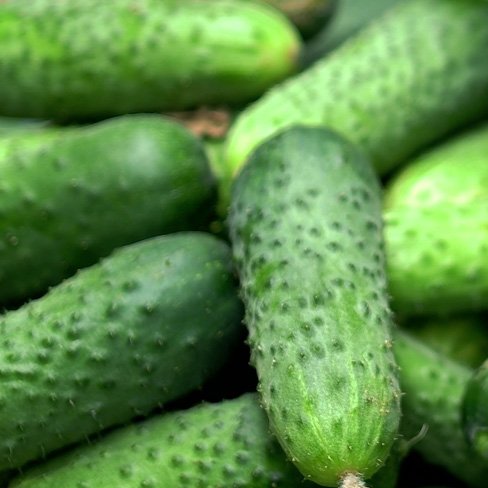 cucumbers