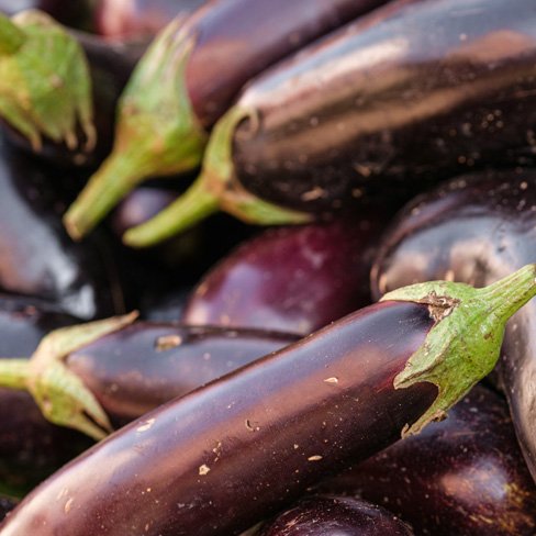 eggplant