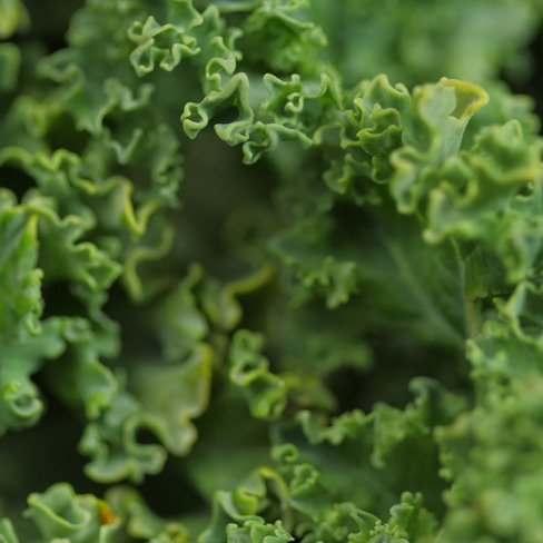 kale