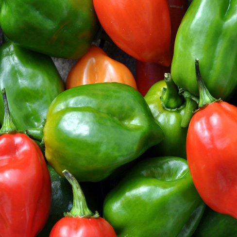 peppers