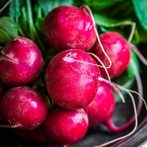 radish
