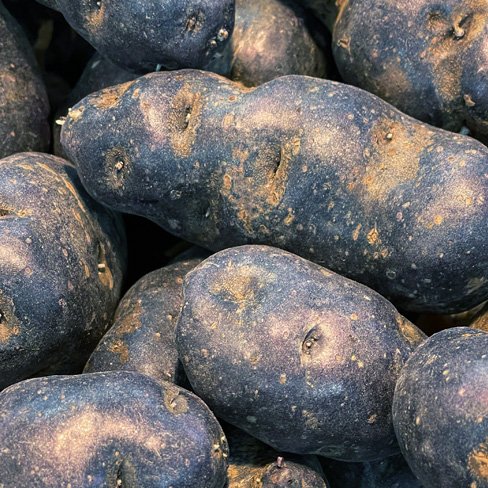 blue russian potatoes