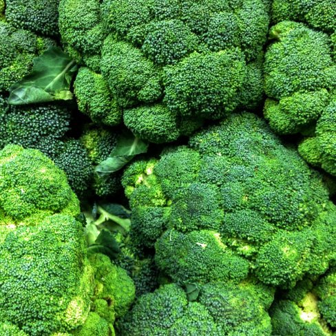 brocculi