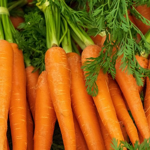 carrots