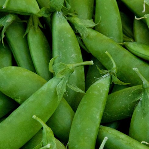 snap peas
