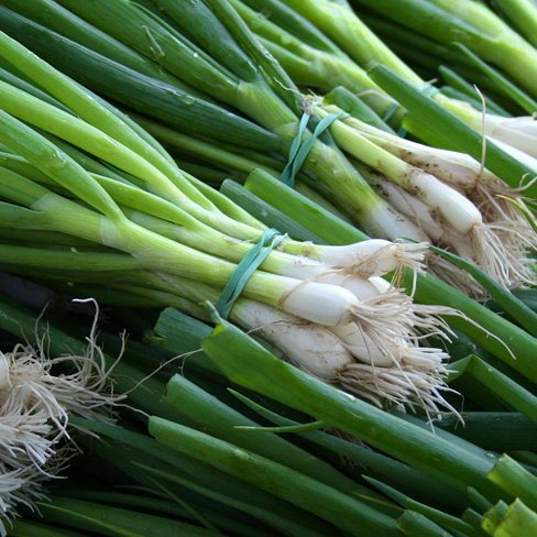 green onions